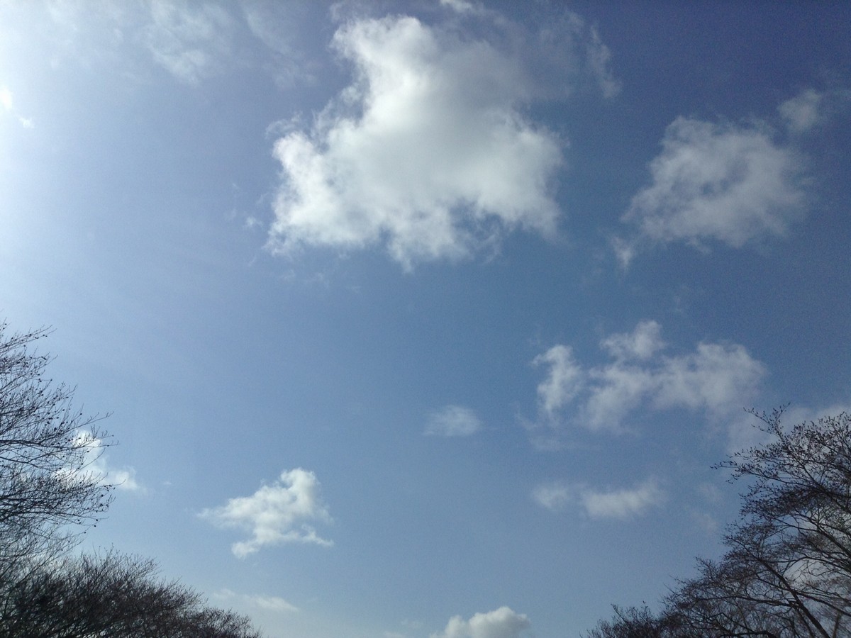 １月の青空はめずらしい北陸の空