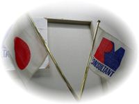 Sindankyoukaiisikawakensibu