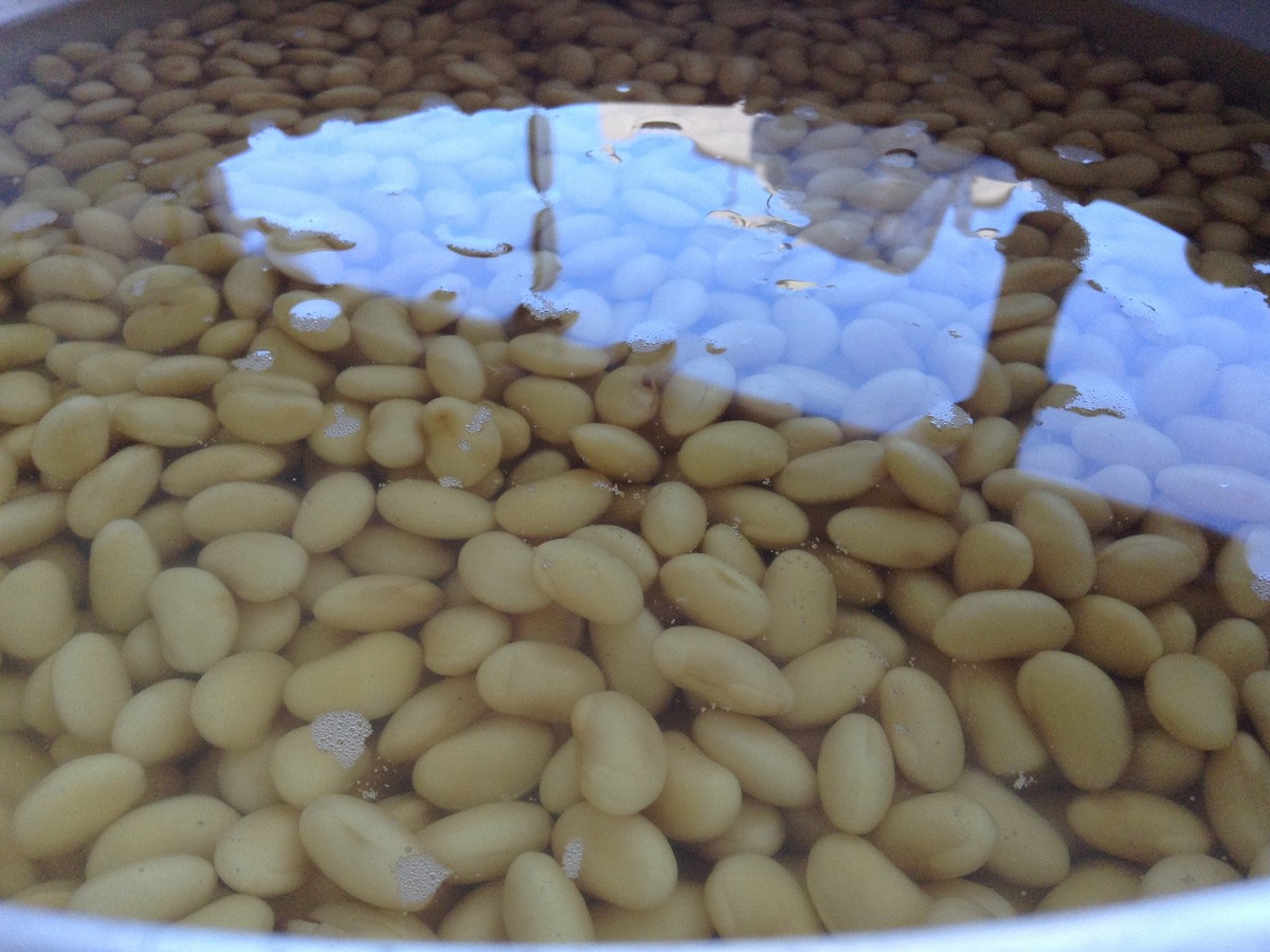 大豆は金沢大地の有機大豆