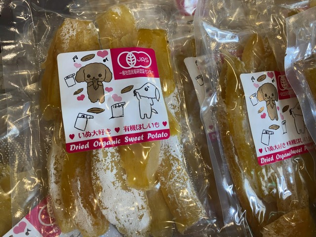 福井市運動公園近くにあるBOWWOW（バウワウ）